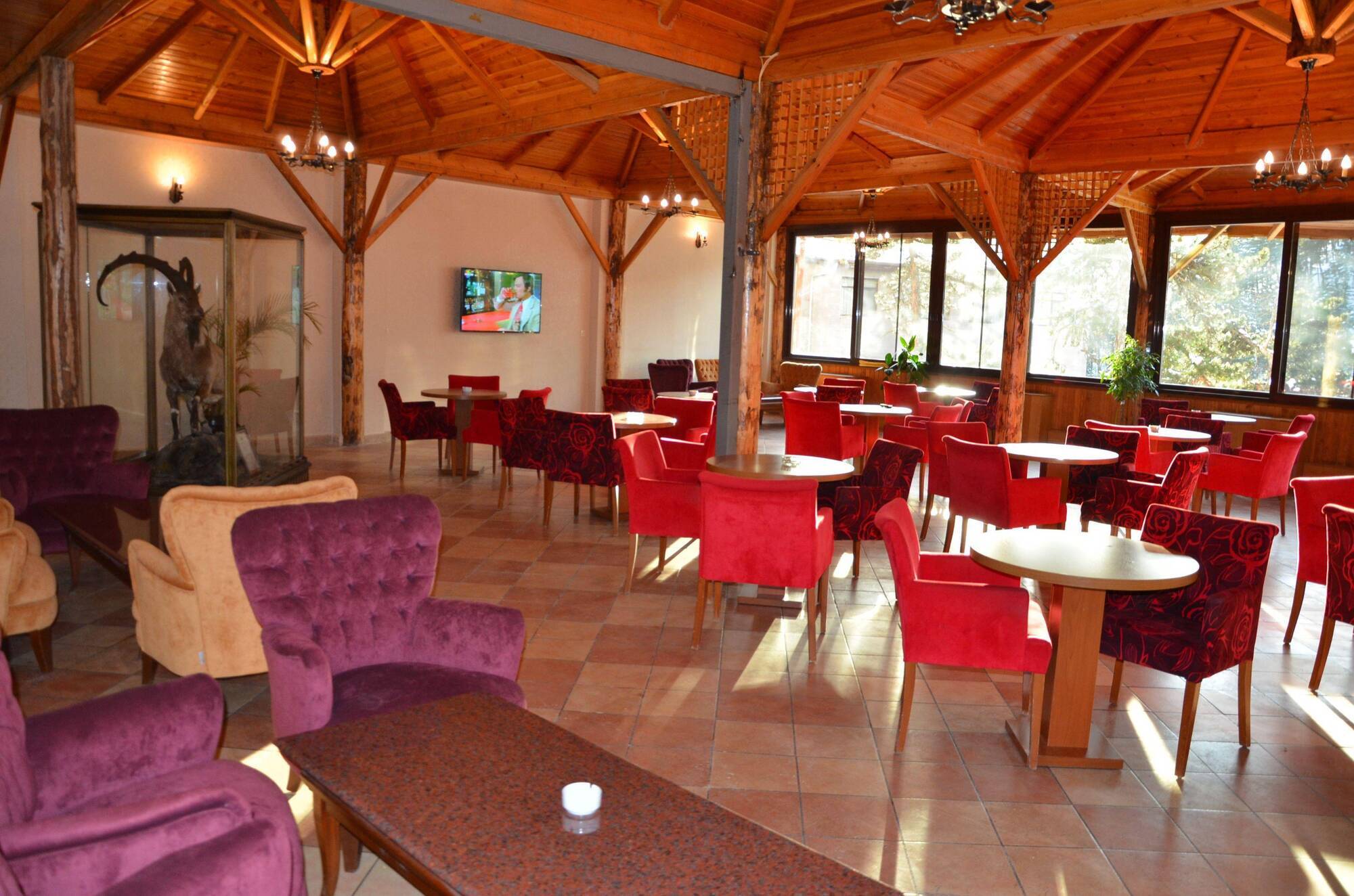 Patalya Thermal Resort Hotel Kızılcahamam Eksteriør billede
